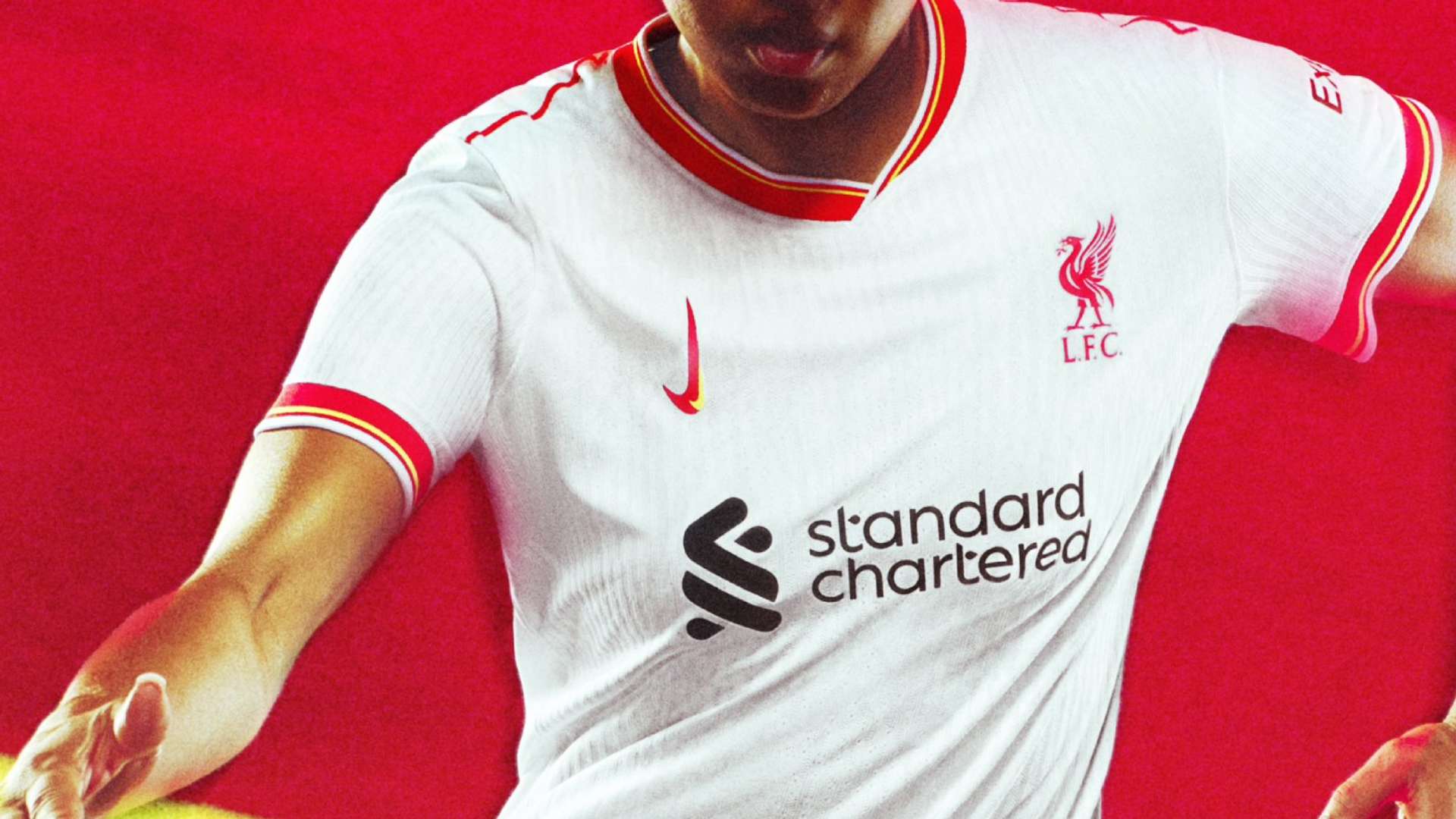 在他们互相 在他们互相